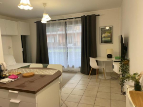 Annecy centre, charmant studio Annecy